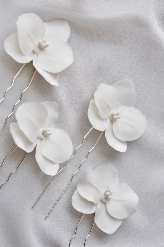 Orquídea M lisa azares