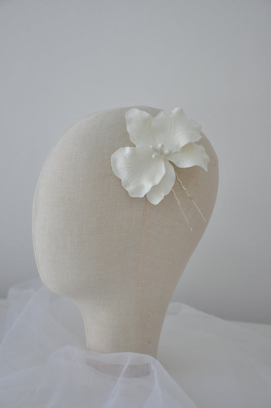 Orquídea textura Grande